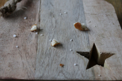 CB5_Ex-Brezel