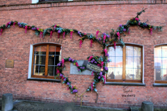 SK-IMG_0544b
