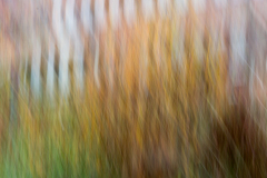 BL-Natur