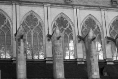 BL-Fenster-des-Altenberger-Doms
