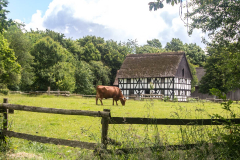 BL-eine-Idylle