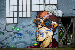 AE-Bahnhof-Graffity-2-vk-DSCF1824