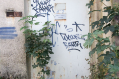 BL-Tuer