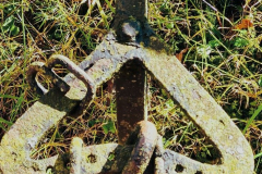 SK-Rost