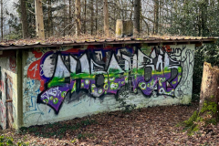 Spuren-im-Wald