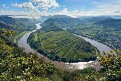 Moselschleife-Bremm