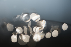 Eistropfen-am-Grashalm-Gegenlicht-vk-4855