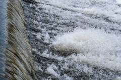 Wasserwehr-vk-