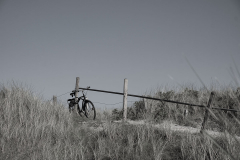 1_Fahrrad-in-den-Duenen