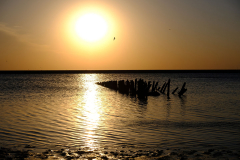 1_altes-Schiffswrack