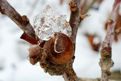 Eiszeit