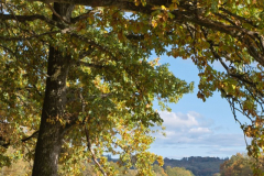 Adieu-Sommer_ahaucap