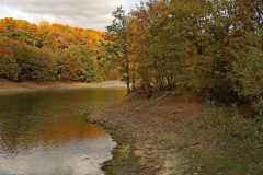 Blick-an-andere-Ufer-AHo