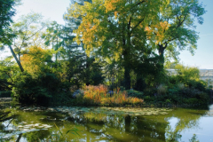 Fruehherbst-Flora_6407