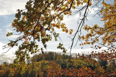 Herbstfarben-AHo