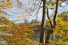 Pause-im-Herbstlicht_ahaucap