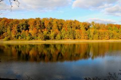 Spiegelung