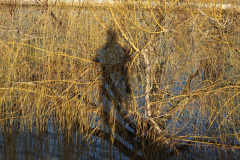 CB_Ein-Schatten-meiner-selbst