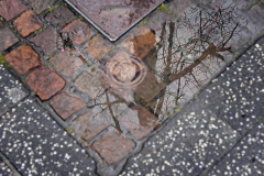 HR-2026-03-28-GM_kl1067