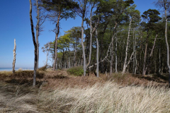 AHo_Am-Weststrand