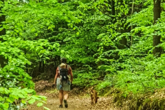 BL_Wald-1