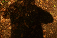 CB-4_Der-Schatten