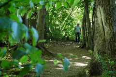HR_Wald_4978