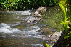 HR_2026-06-13-Wiehl0749