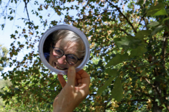 AHO_Spiegelbild