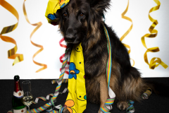 Der-Karnevalsmuffel_klein