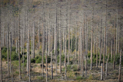 Blick-vom-Unnenbergturm