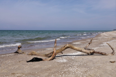 Darss-Weststrand