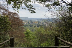 Blick-aufs-Siegtal