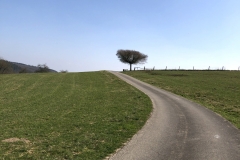 Der-Weg-das-Ziel