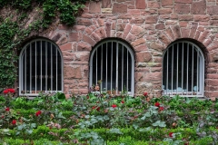 Fenster
