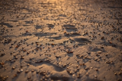 Schimmer auf dem Sand