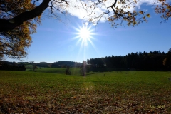 1_Herbst