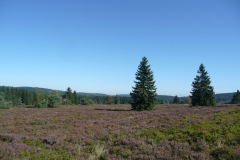 Hochheide