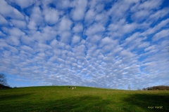 Wolken