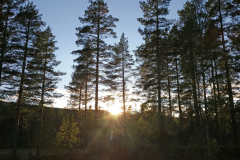 Bärbel