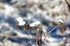 BL-Winter