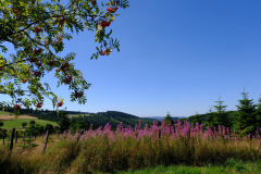 Sauerland-Ausblick-Anja