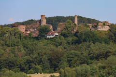 Dahner-Burgen