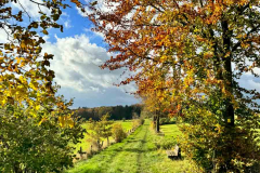 Herbst-2023