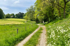 Rund-um-Waldbroel-2023
