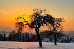 Sonnenuntergang-2023