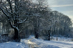 Winter-2023