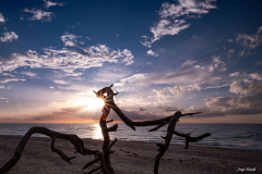 5.Zingst-Weststrand-Anja