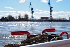 P4023221-Hafenrundfahrt