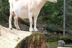Ueberblick